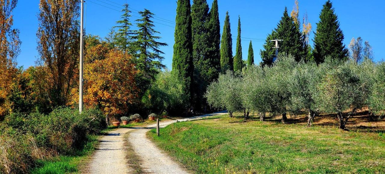 Villa la Volpina Barberino di Val dʼElsa Exterior foto