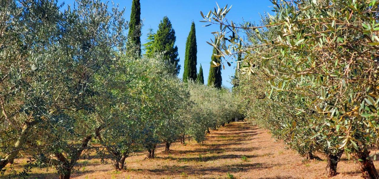 Villa la Volpina Barberino di Val dʼElsa Exterior foto